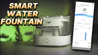Petgugu Pet Water Fountain Review | Best Automatic Water Dispenser for Cats & Dogs