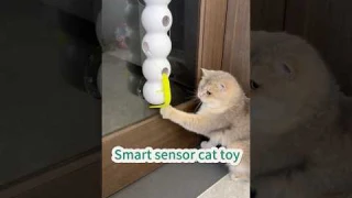 Smart sensor cat toy #cat #bestpetsupplies #petshub