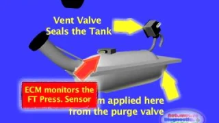 Fuel Tank Pressure Sensor