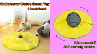 4 Speeds Smart Cat Toy