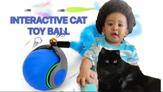 2️⃣0️⃣2️⃣5️⃣ INTERACTIVE CAT TOY BALL REVIEW #nestyle #everyone #cattoys 