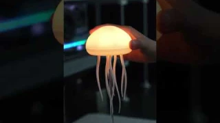 Got my very own jellyfish lamp after being inspired jellyfish.
#japantok #jellyfish #jellyfishlamp