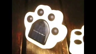 Cat Paw Solar LED Light