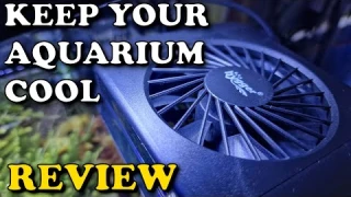KEEP YOUR AQURIUM COOL | hygger Aquarium Chiller Fan REVIEW