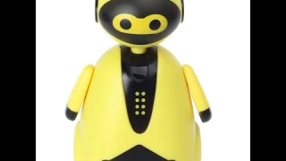 Mini Inductive and Intelligent Educational Smart Robot