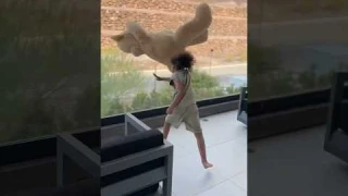 Son tells mom that his stuffed animal comes to life so he does this… #shorts #haunted #scary ￼