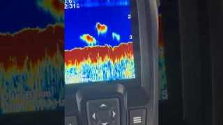 Garmin Striker 4 Fish Finder #bassfishing #sonar #garmin #fishfinder