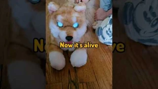 Surprise my daughter with the new robot Shiba #dog #unboxing #toys #robot #shorts