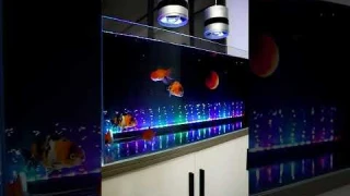 Awesome Bubble Light for your aquarium #aquarium #fishtank