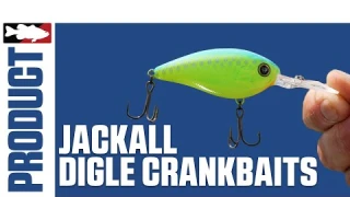 Jackall Digle Crankbait with Jared Lintner