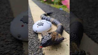 Remote Control Rc Snake Unboxing 🐍