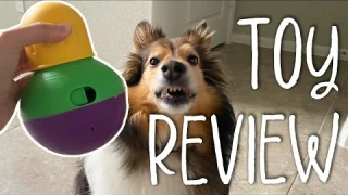Testing TOP Rated Dog Puzzle Toy | 3 Dogs Review Bob-A-Lot Interactive Toy
