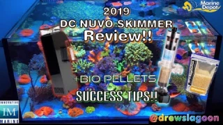 NEW DC Nuvo skimmer review + tips on my bio pellets success!