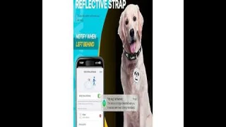 Airtag Dog Collar GPS Tracker Review: Worth It for Pet Safety with No Fees or Charging?