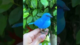 KibtoyBlue Bird toy simulation electric singing bird can call and move