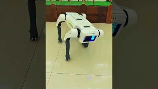 AI Smart Alpha Dog Toy - Programmable Remote-Controlled Mechanical Dog