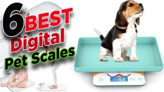Portable Weight Scale 🏆 Top 6 Best Portable Digital Weight Scale For Pets And Baby