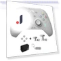 Wireless Controller — Game Controllers, MOBAPAD