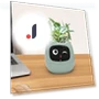 Smart Flower Pot — Garden Planters, HappyToy