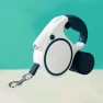 Automatic Glowing Pet Leash — Training Leads, Smart Pet Supplies