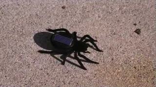 Solar Powered Toy Spider Review