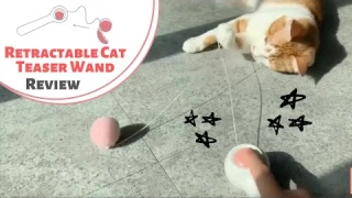 Magic Wand Teaser Cat Toy Review - A Cat Lover's wand