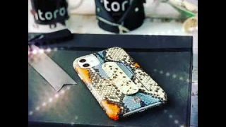 Snake embossed Elasticity Kickstand Leather Phone case iPhone 11 Pro