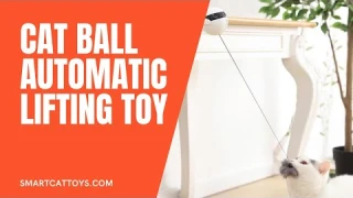 Cat ball automatic lifting toy for cat