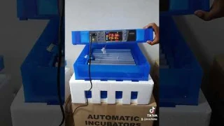 128 eggs incubator