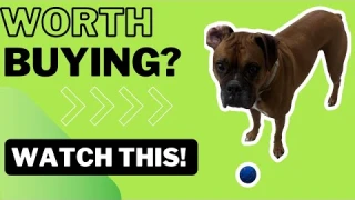 Review of this Smart Interactive Dog Toy