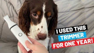 Dog Paw Trimmer Review After Using For One Year