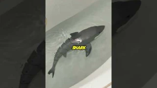 🏊‍♂️🌊 Swim Away from Boring Toys! Meet the Robo Alive Shark! 🦈✨ #RoboAlive #ZURU