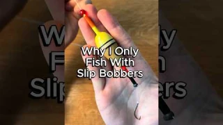 Why I only fish with slip bobbers #fishing #walleye #crappie #crappiefishing #panfish