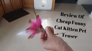 Review Of Cheap Funny Cat Kitten Pet Teaser Wand Wire Feather Chaser Bird Mouse Toy.