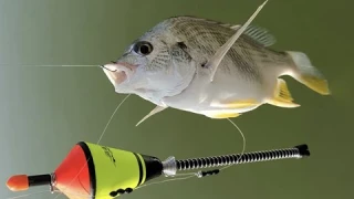 Automatic fishing hook review 2024，Automatic Fishing Float