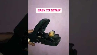 Mouse Trap / Easy To Use Mouse Catcher #mousetrap #rattrap