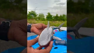 Remote Control Shark Unboxing & Testing