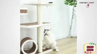 Interactive Electronic Automatic Motion  Cat Toy Ball Review 2020 - Does It Work