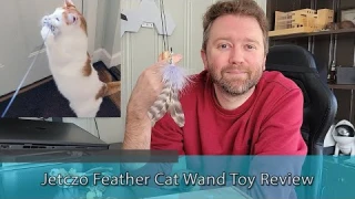 GREAT CAT TOYS - Jetczo Feather Cat Wand Toy Review