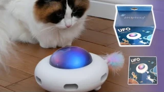 Petgravity UFO Cat Toy - Review & Unboxing (amazon)