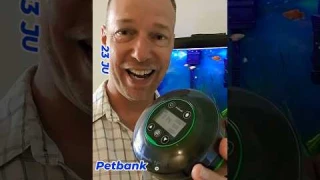 EASY Automatic Fish Food Feeder 🐠 #aquarium