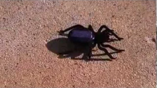 Solar Powered Spider Robot Toy