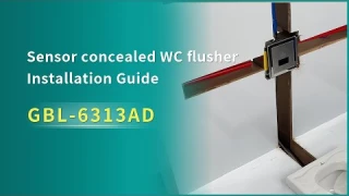 The installation guide of concealed automatic sensor toilet flush valve