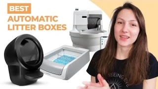 The Best Automatic Litter Boxes of 2023 - We Tried 20 So You Don't Have To!