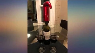 HEYPORK Electric Wine Aerator Decanter,Automatic Wine Dispenser,Filter Aeration review
