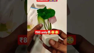 Mushroom light automatic sensor night lamp! Multicolor Bed flower design night lamp ₹80 only 🤯😳