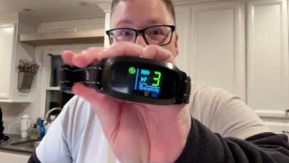 Fafafrog Bark Collar - ACTUALLY WORKS!