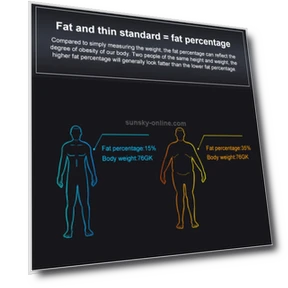 Electronic Smart Weighing Scale with LCD Display - Rechargeable — Weight Management Tools