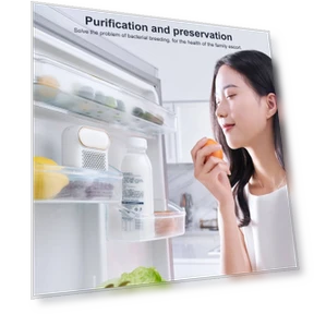 Deodorizing Box Air Purifier — Activated Carbon Air Purifiers
