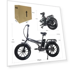 Electric Bike with Front Basket — Electric Self-Balancing Scooters, CMACEWHEEL